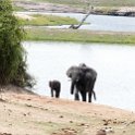 BWA NW Chobe 2016DEC04 NP 071 : 2016, 2016 - African Adventures, Africa, Botswana, Chobe National Park, Date, December, Month, Northwest, Places, Southern, Trips, Year